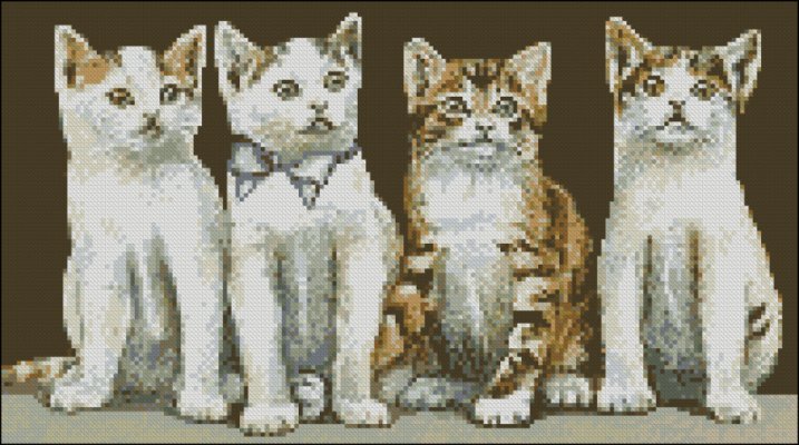 (image for) 4 Kittens