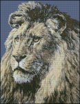 (image for) African Monarch