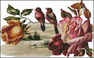 (image for) Birds and Roses