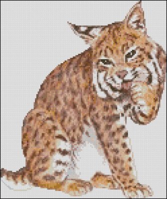 (image for) Bobcat