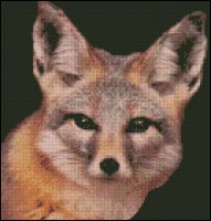 A generic image