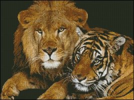 (image for) Lion and Tiger
