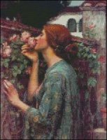 (image for) My Sweet Rose