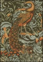 (image for) Peacock - Large