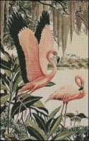 (image for) Pink Flamingos