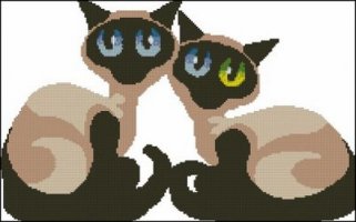 (image for) Siamese Cats