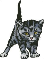 (image for) Spunky