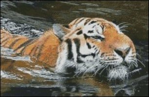 (image for) Tiger Swimming