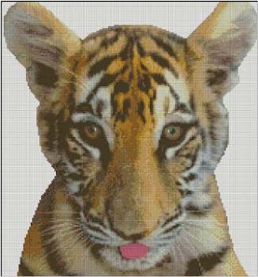 (image for) Tiger Cub