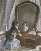 (image for) Who's the Fairest of Them All